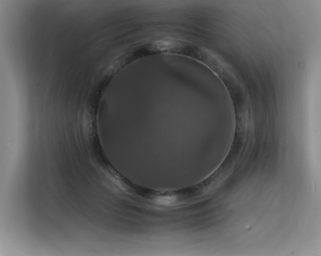 X0000112150653200908071117