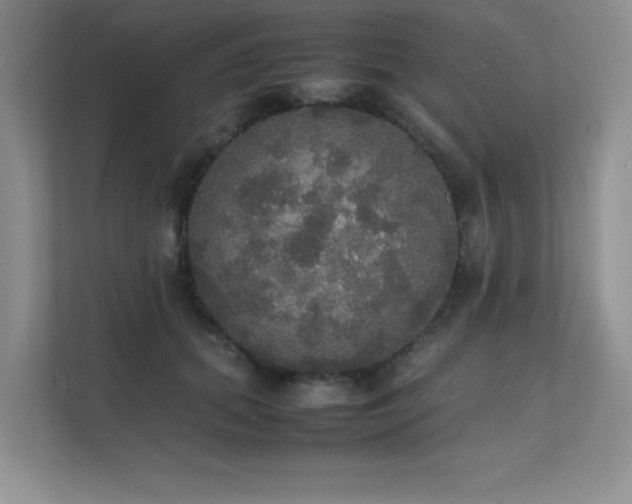 X0000112150655200908071117