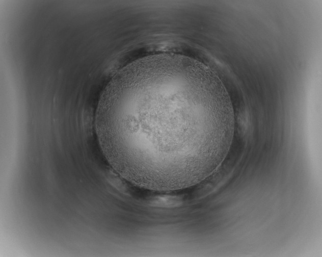 X0000112150657200908071117