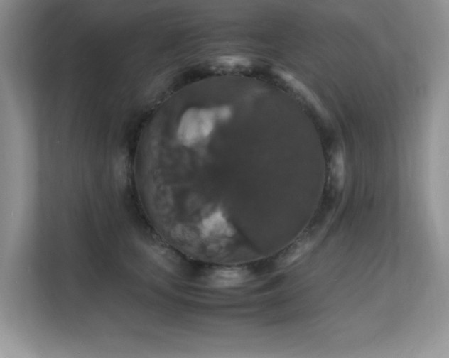 X0000112150659200908071117