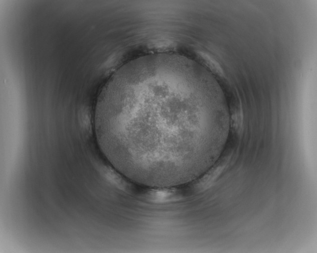 X0000112150662200908071117