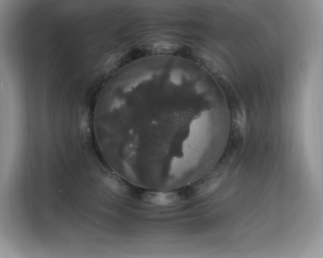X0000112150663200908071117