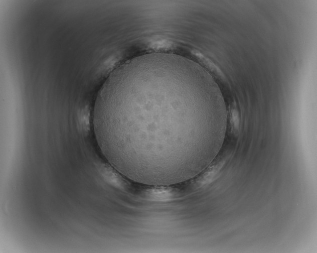 X0000112150668200908071117