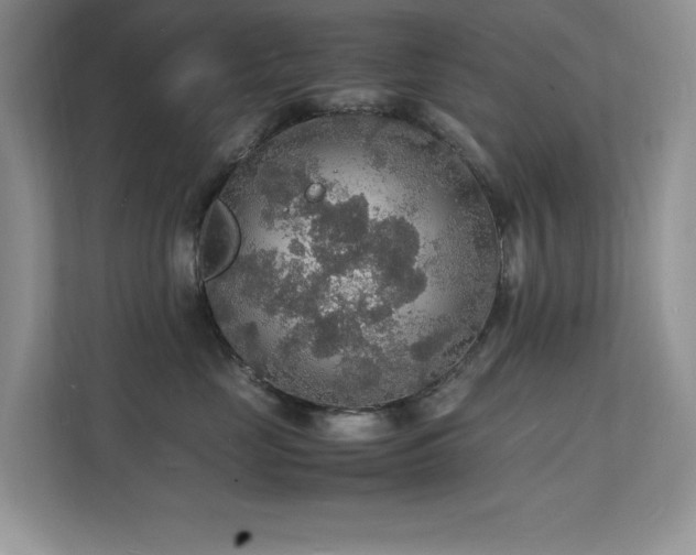 X0000112150669200908071117