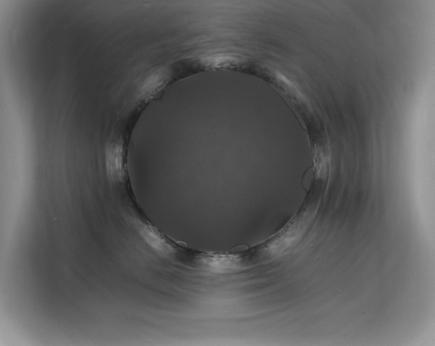 X0000112150670200908071117