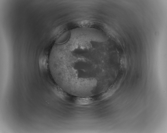 X0000112150671200908071117