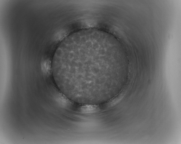 X0000112150672200908071117