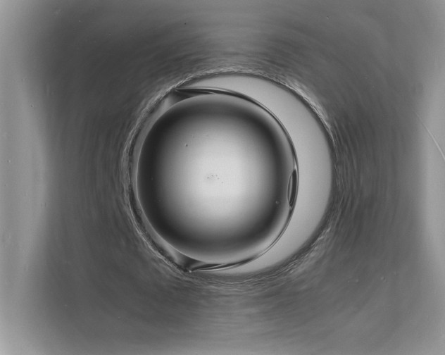 X0000112150673200908071116