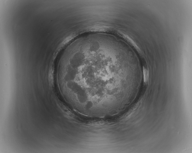 X0000112150675200908071116