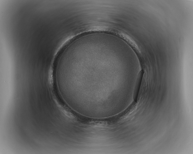 X0000112150676200908071116