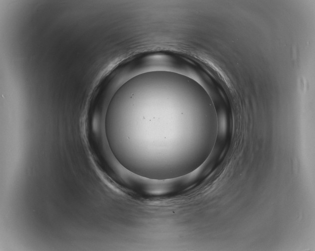 X0000112150677200908071116
