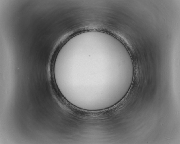 X0000112150678200908071116