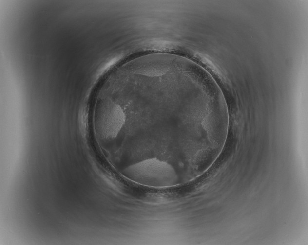 X0000112150679200908071116