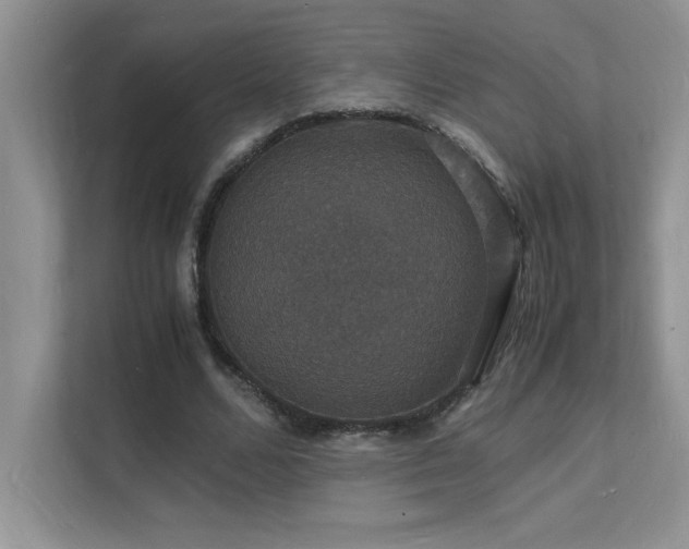 X0000112150680200908071116