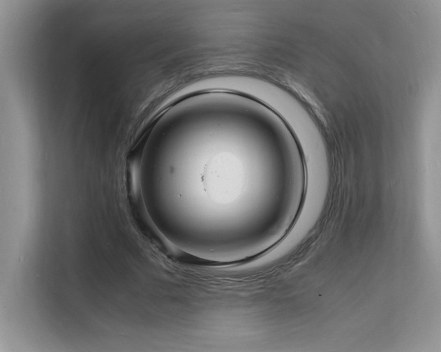 X0000112150681200908071116
