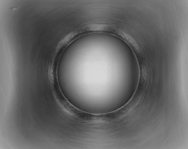 X0000112150682200908071116