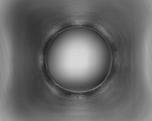 X0000112150683200908071116