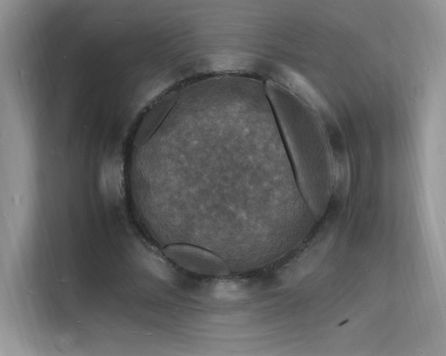 X0000112150684200908071116