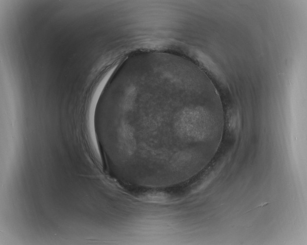 X0000112150685200908071116