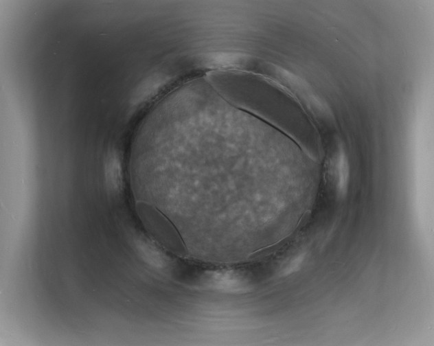 X0000112150688200908071116
