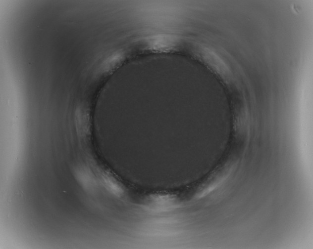 X0000112150689200908071116