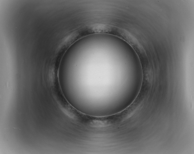 X0000112150690200908071116