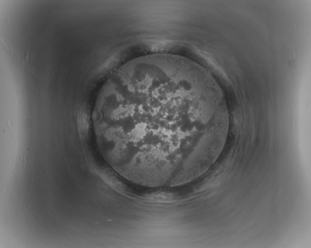 X0000112150691200908071116