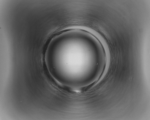 X0000112150692200908071116