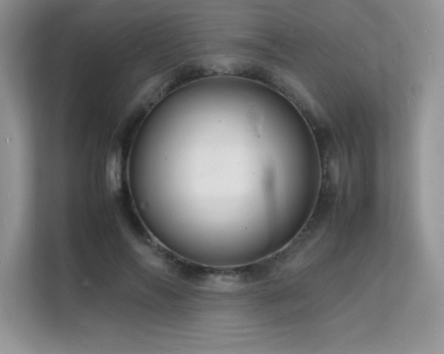 X0000112150694200908071116