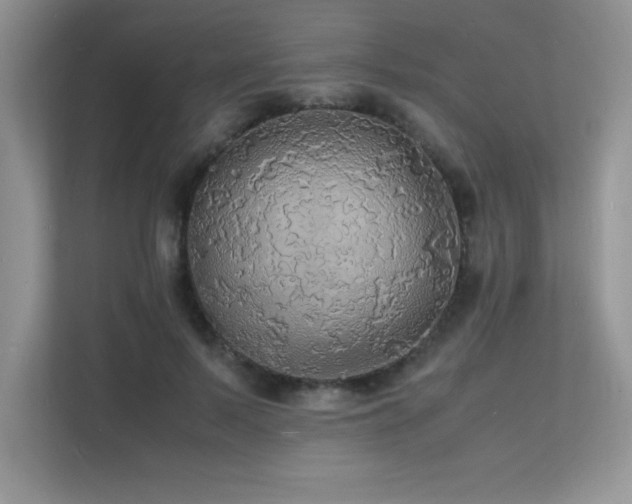 X0000112150695200908071116