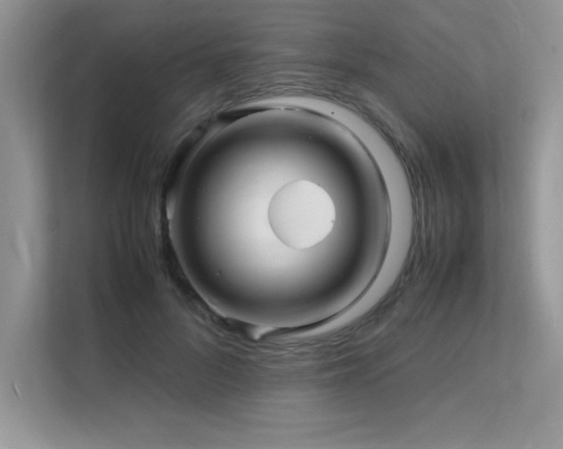 X0000112150696200908071116