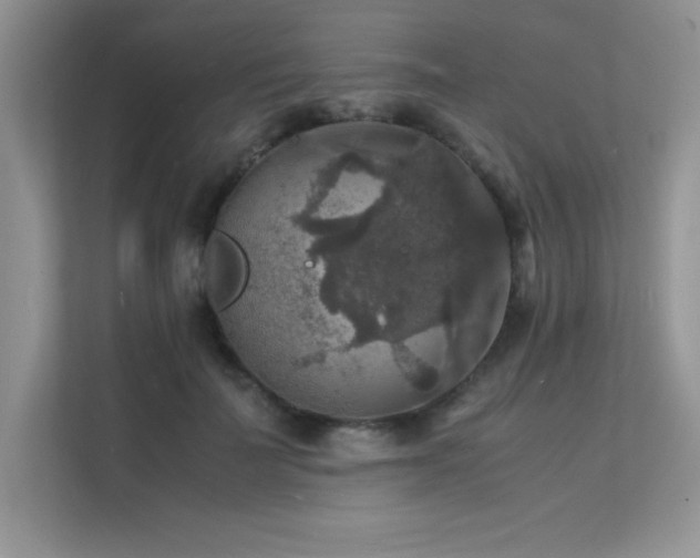 X0000112150699200908071116