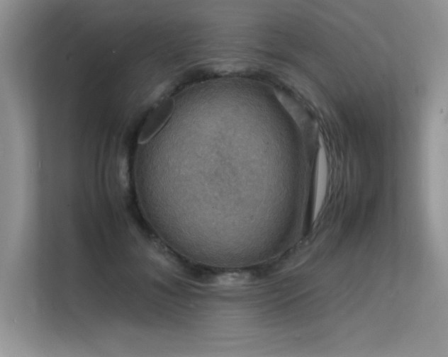 X0000112150700200908071116