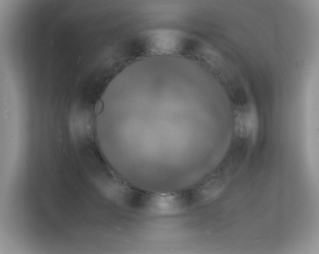X0000112150701200908071116