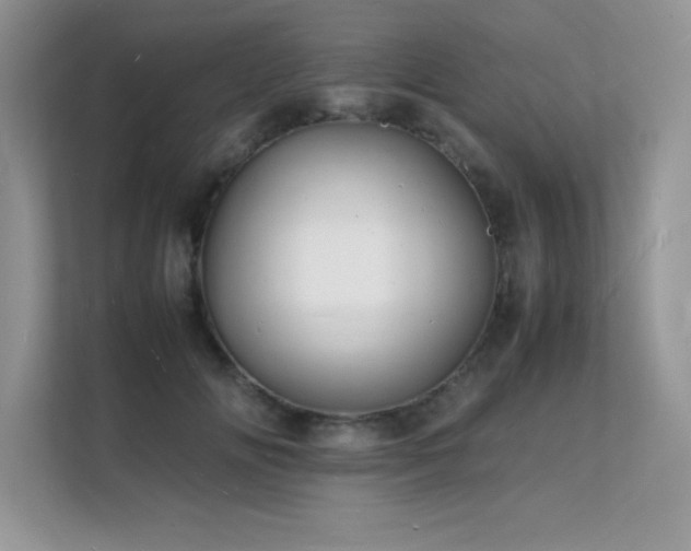 X0000112150702200908071116