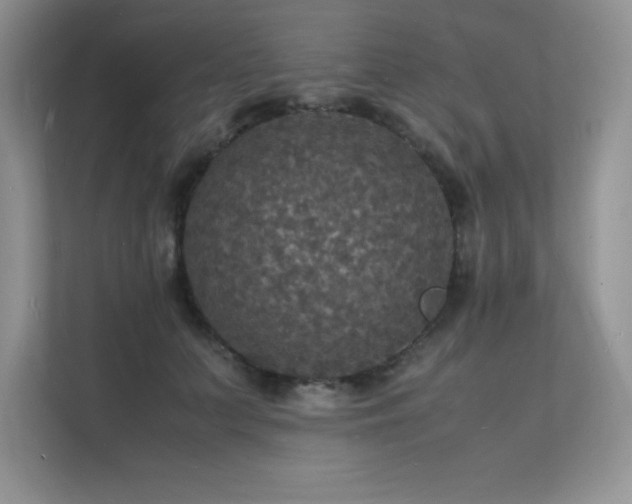 X0000112150703200908071116