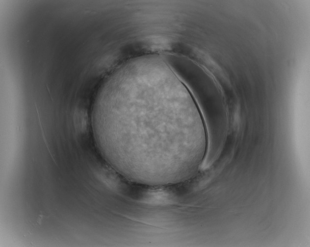 X0000112150704200908071116