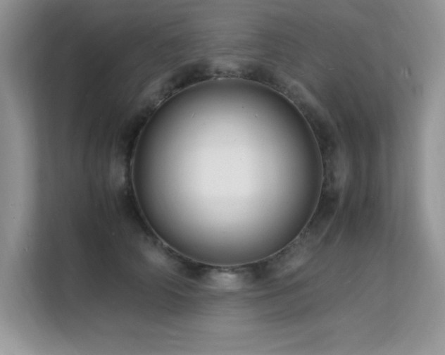 X0000112150706200908071116
