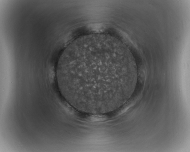 X0000112150707200908071116