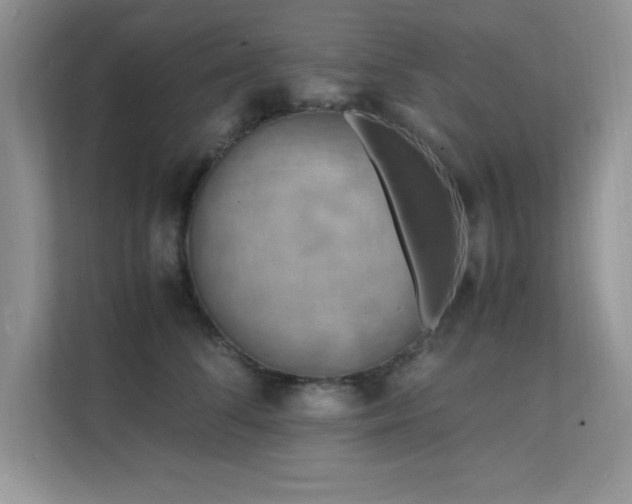 X0000112150708200908071116