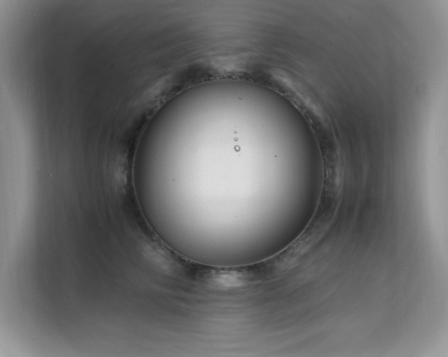 X0000112150710200908071116