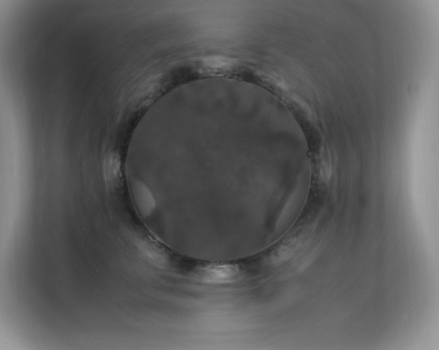 X0000112150711200908071116