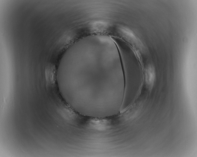 X0000112150712200908071116