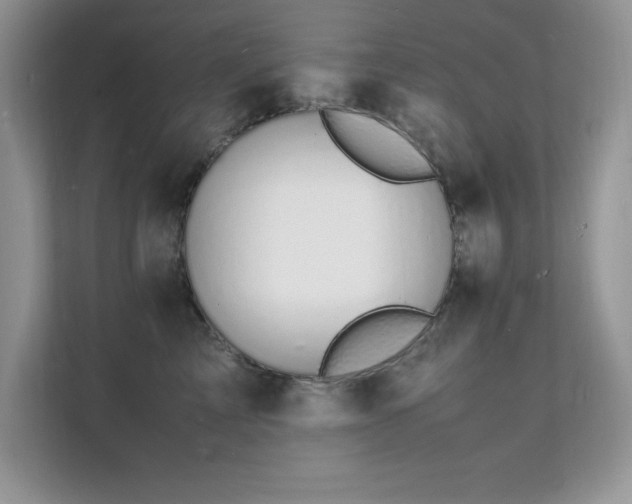 X0000112150713200908071116