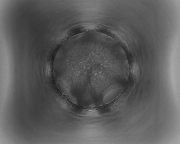 X0000112150715200908071116