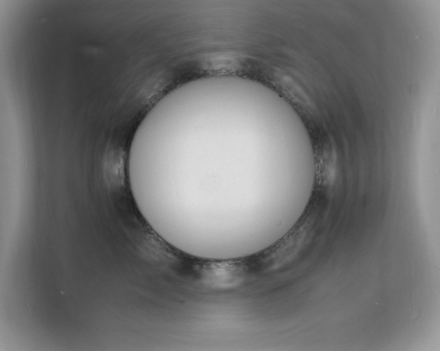 X0000112150717200908071116