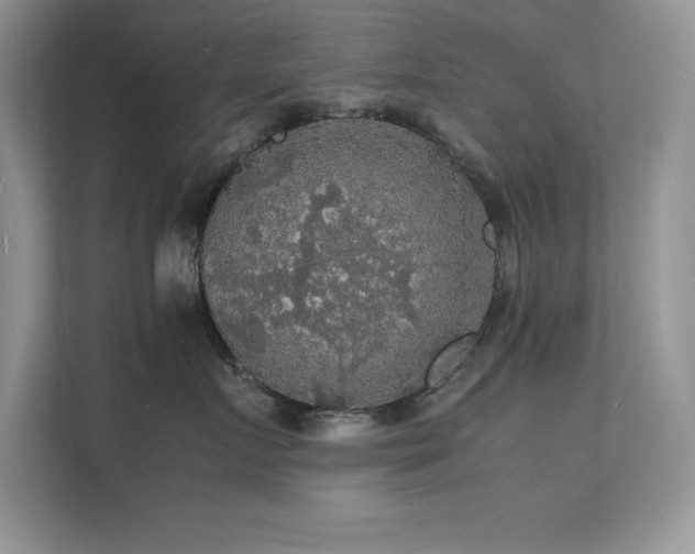 X0000112150719200908071116