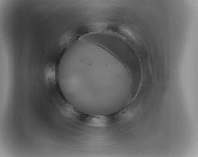 X0000112150720200908071116