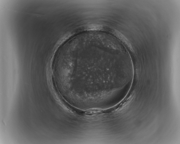 X0000112150721200908071115