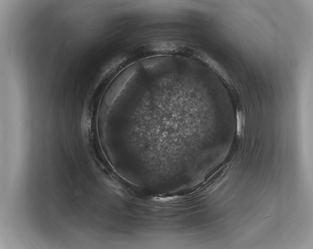 X0000112150723200908071115